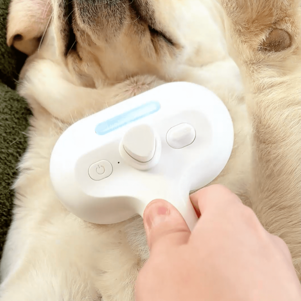 Spazzola a vapore BrushPaw per cani
