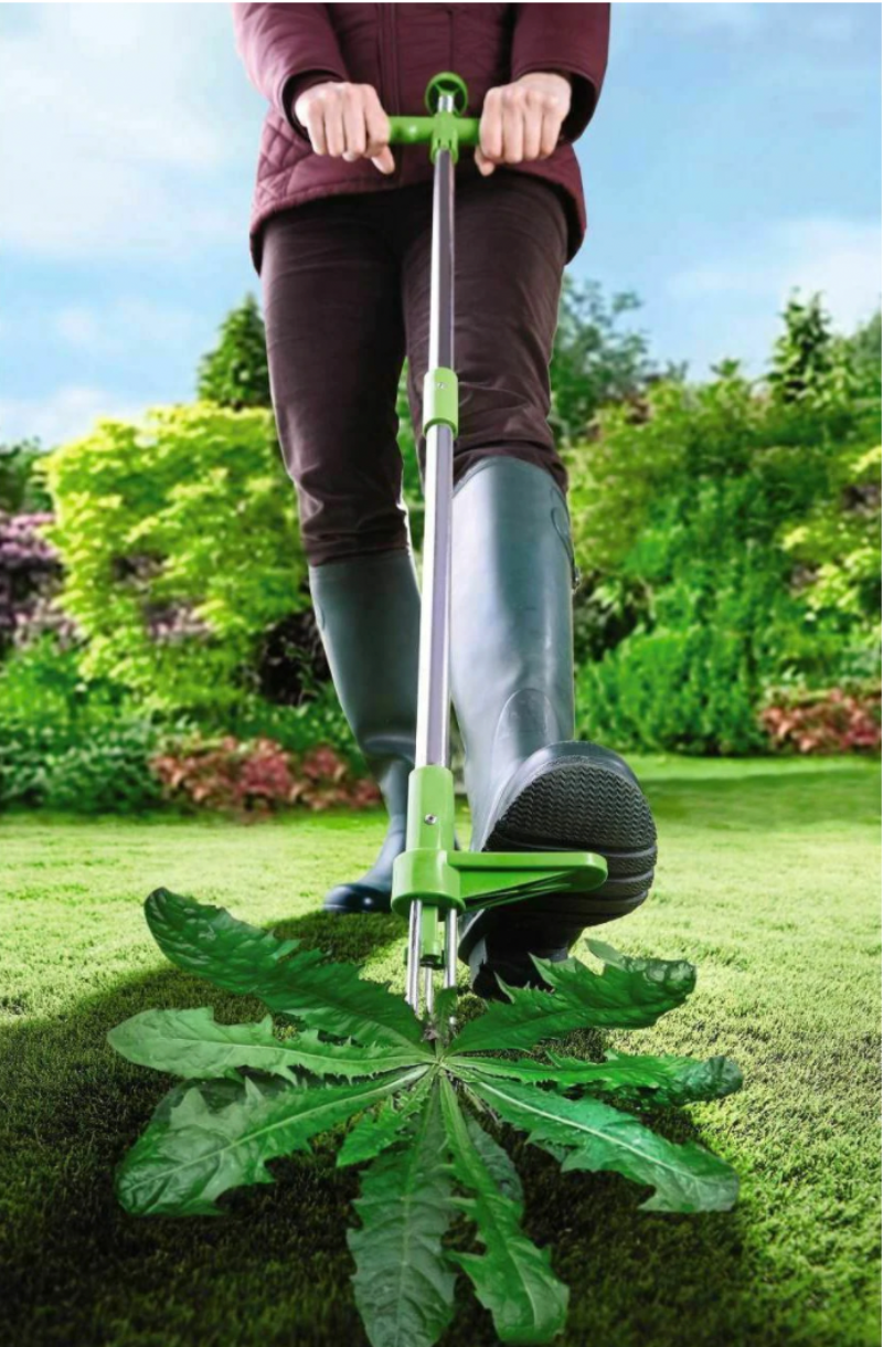 Estirpatore di erbacce - Rimuovi radici di erba da giardino