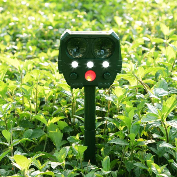 Repellente ad ultrasuoni per gatti, cani, volpi e ratti