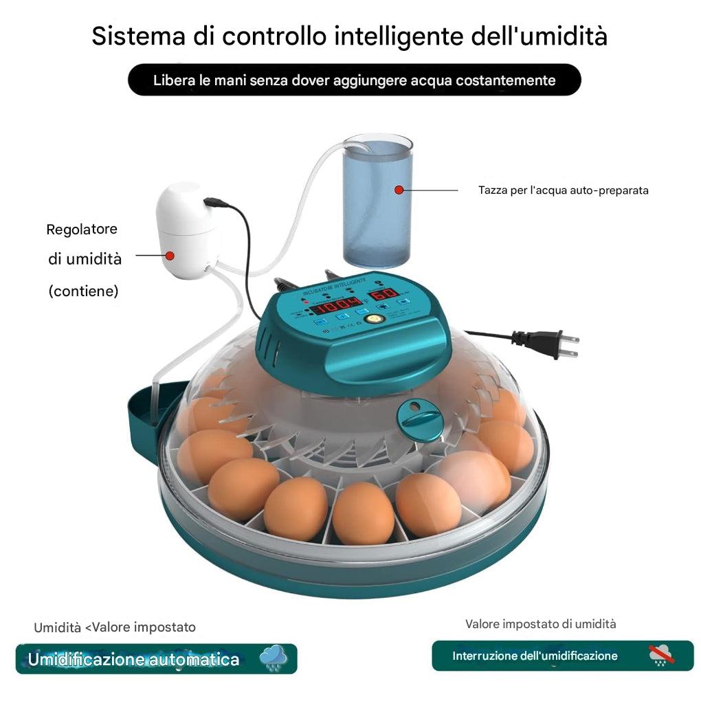Incubatrice da 15 uova con controllo automatico dell’umidità
