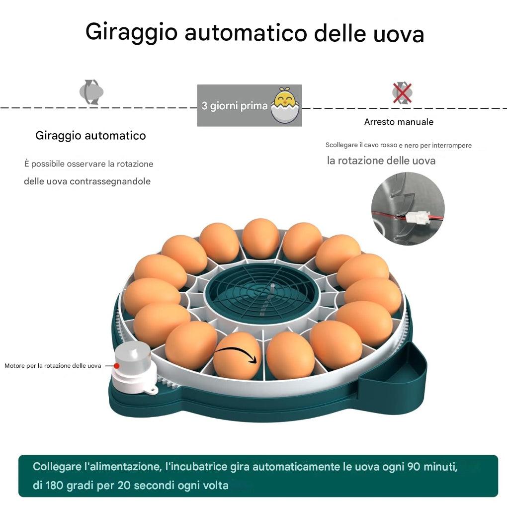 Incubatrice da 15 uova con controllo automatico dell’umidità