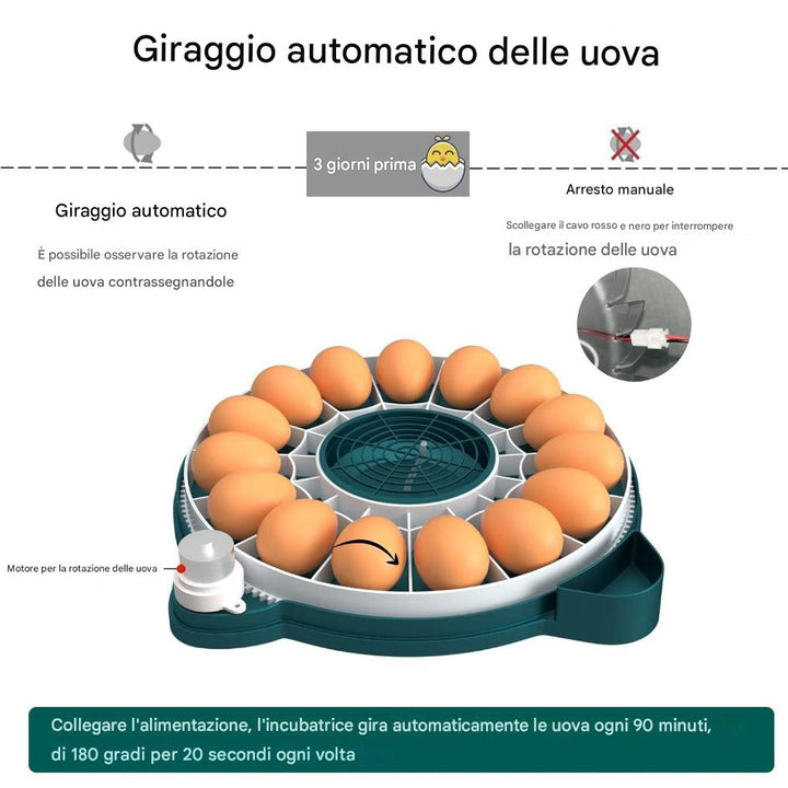 Incubatrice da 15 uova con controllo automatico dell’umidità