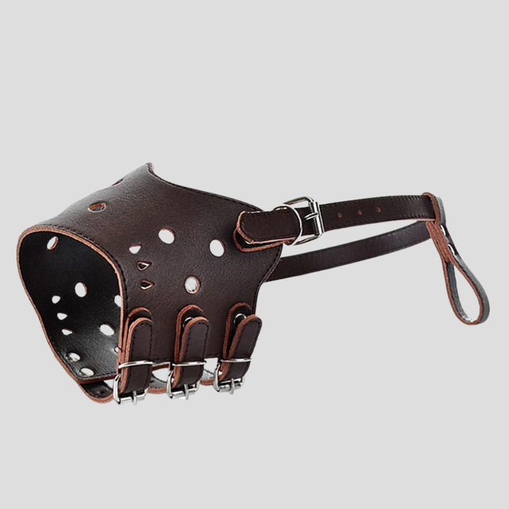 Museruola para perros para la seguridad de los animales domésticos