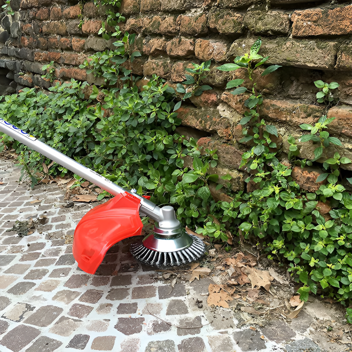Spazzola e tagliabordi in acciaio al carbonio