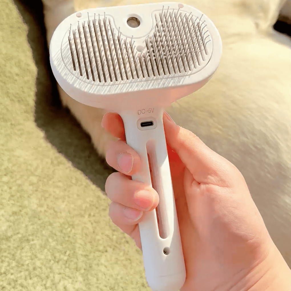 Spazzola a vapore BrushPaw per cani