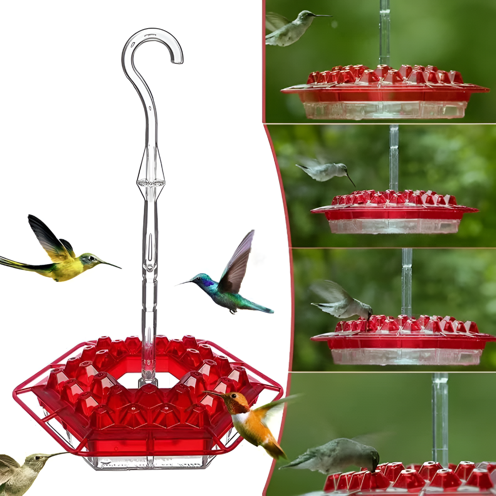 Mangiatoia per colibrì a prova di formiche