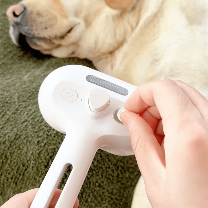 Spazzola a vapore BrushPaw per cani