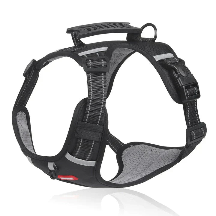 Pettorina anti-traino per cani