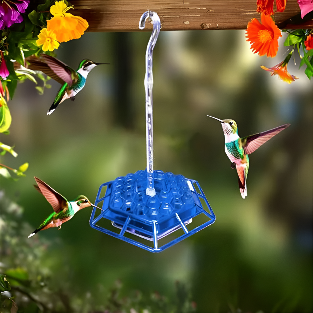 Mangiatoia per colibrì a prova di formiche