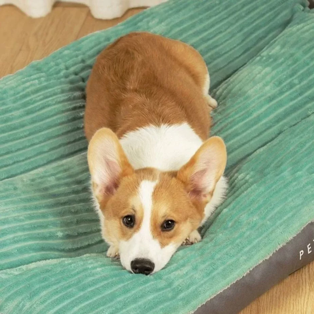 Cojín para perros para descanso y relajación