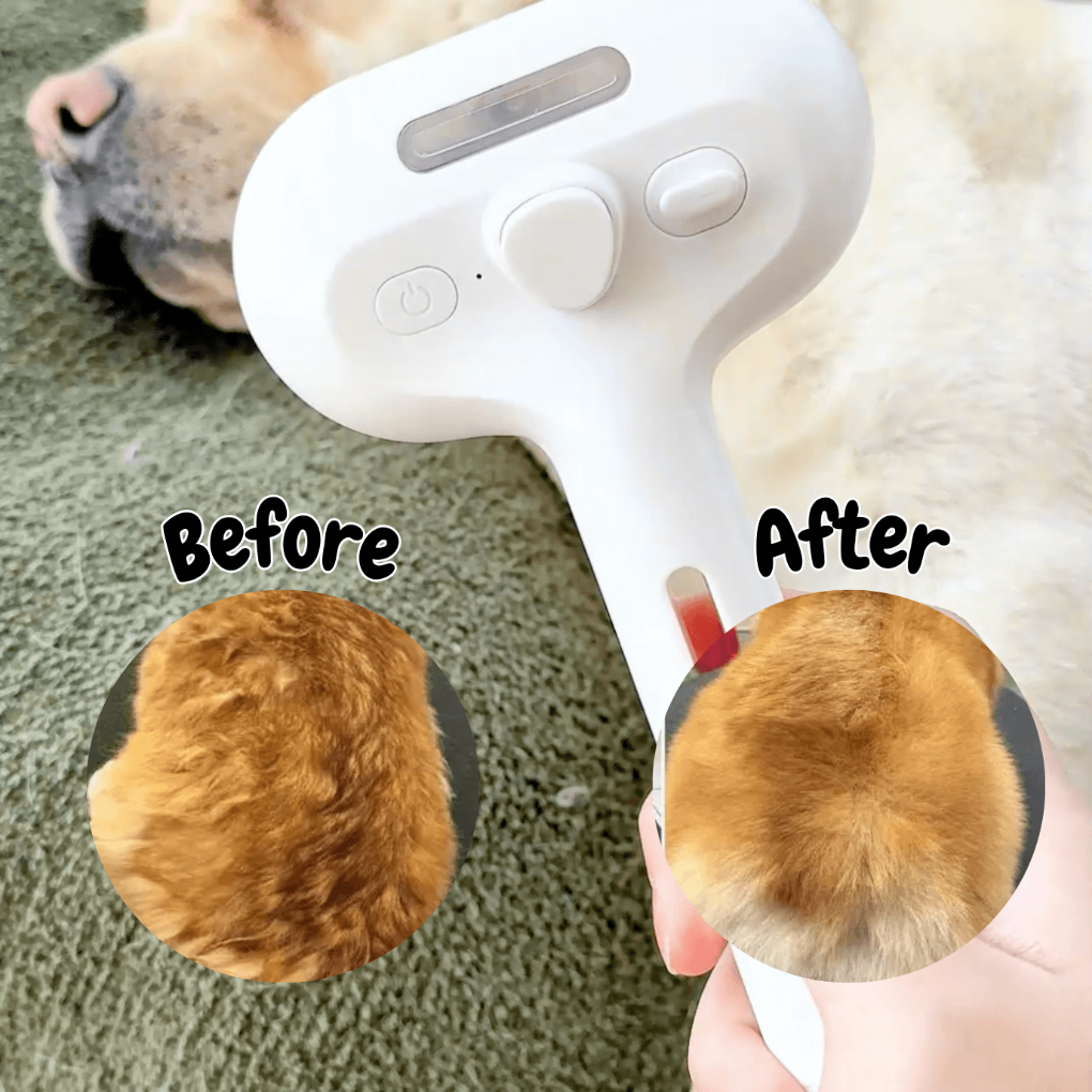 Spazzola a vapore BrushPaw per cani