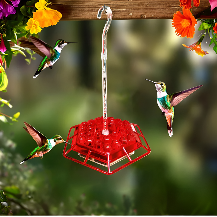Mangiatoia per colibrì a prova di formiche