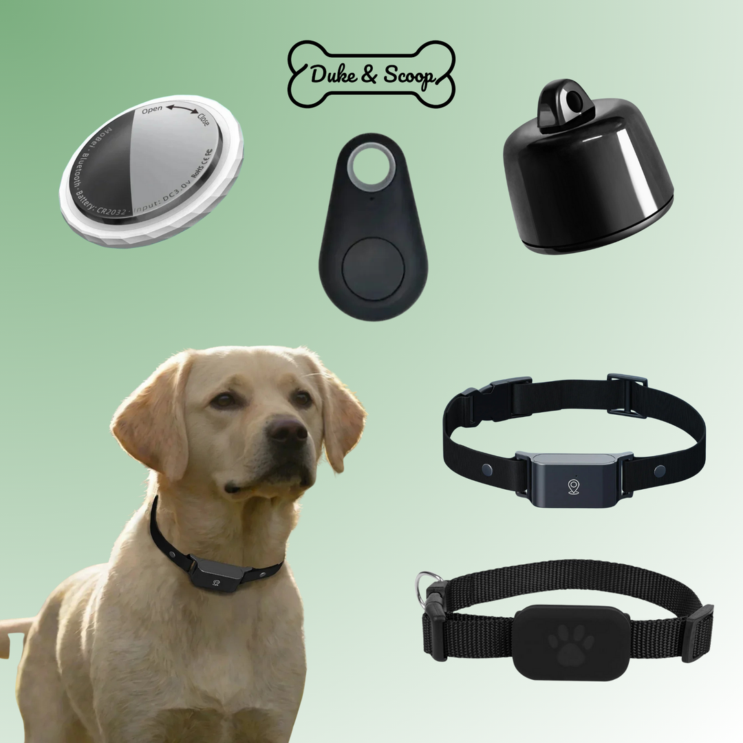 SmartPet Tracker Mini localizzatore GPS per animali domestici