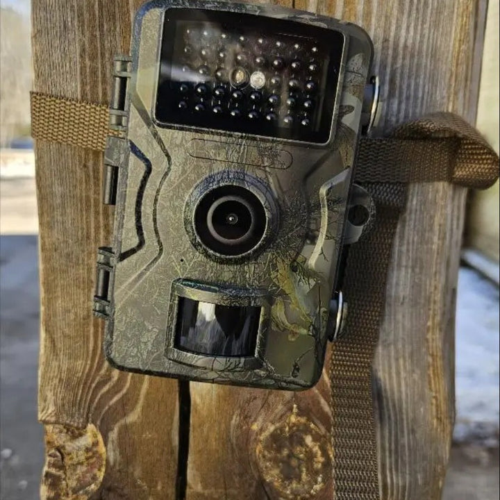 Fotocamera per la visione notturna della fauna selvatica