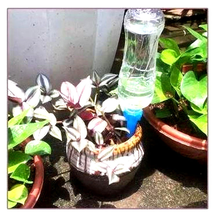 Picchetti per irrigazione automatica delle piante (confezione da 12) – Aiuto da giardino a flusso regolabile