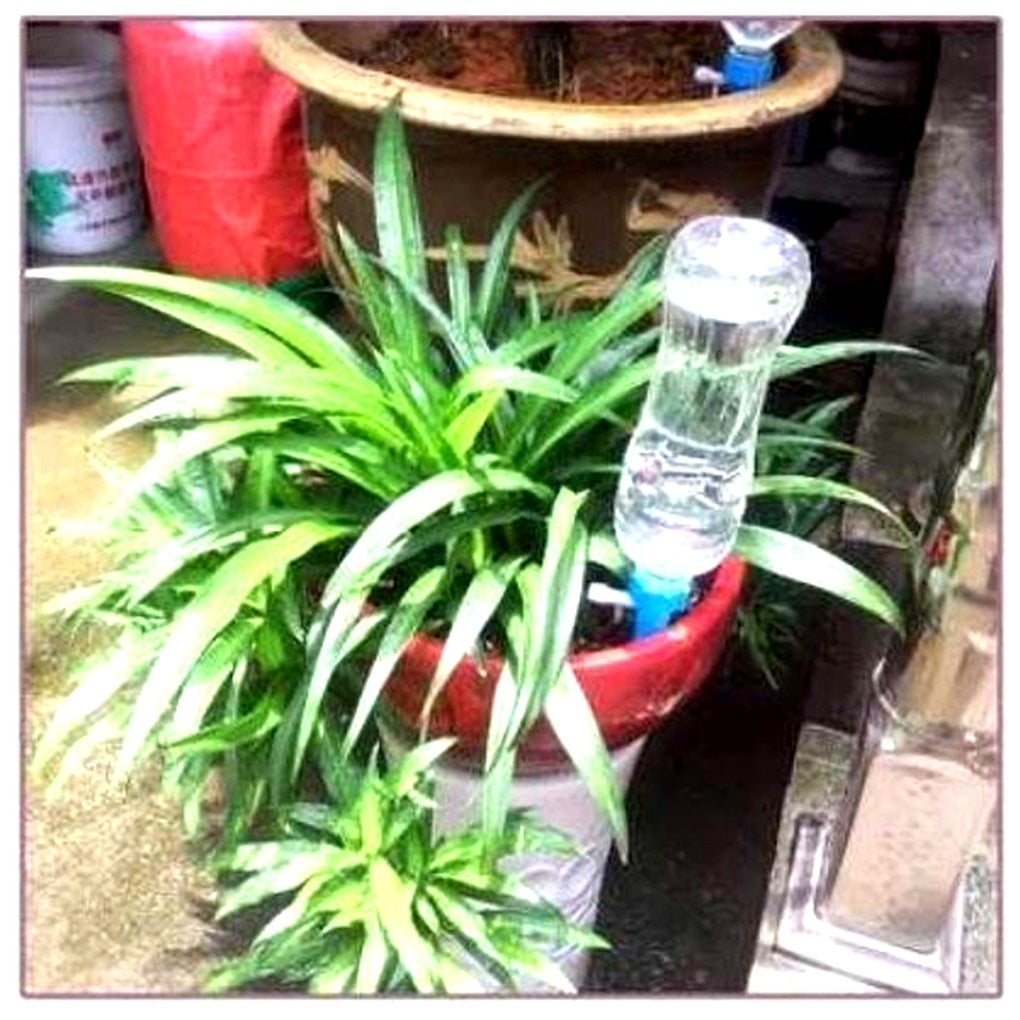 Picchetti per irrigazione automatica delle piante (confezione da 12) – Aiuto da giardino a flusso regolabile