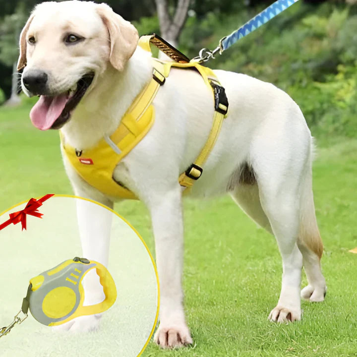 Pettorina anti-traino per cani