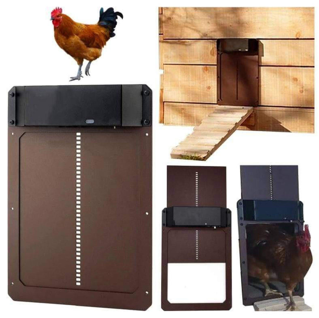 Porta automatica del pollaio