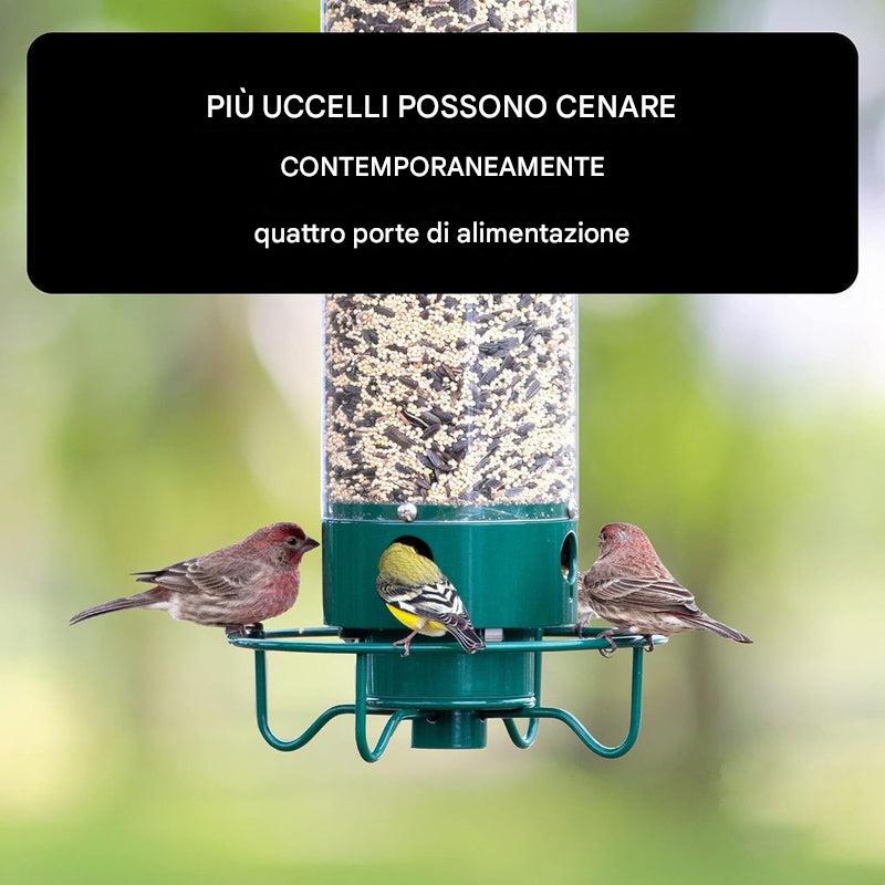 Mangiatoia per uccelli a prova di scoiattolo
