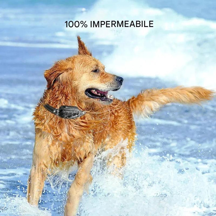 Collare elettrico per addestramento cani con telecomando