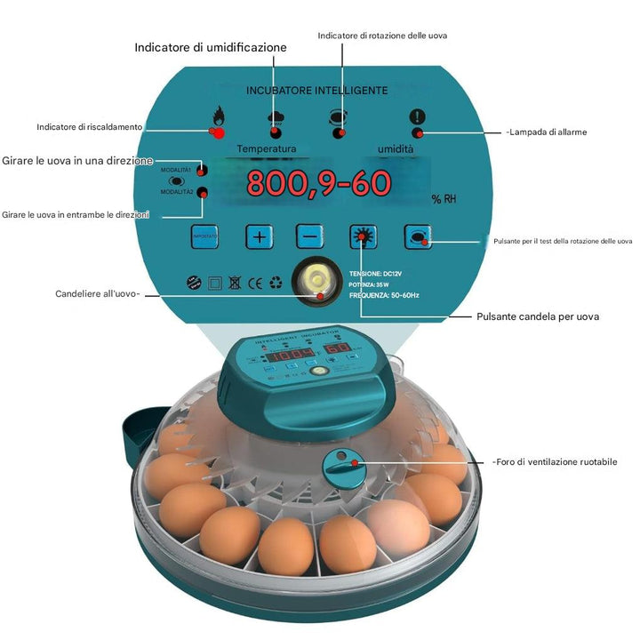Incubatrice da 15 uova con controllo automatico dell’umidità