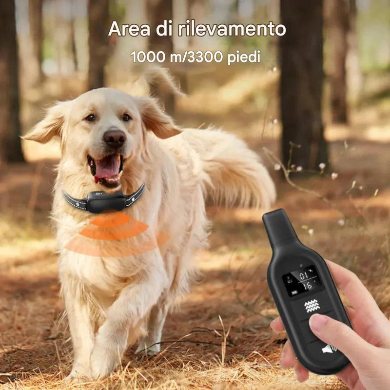 Collare elettrico per addestramento cani con telecomando